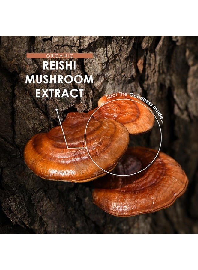 ALPHA01 Organic Reishi Mushroom Extract 7500 mg – Supports Immunity & Stress Relief, 90 Capsules - Image 5
