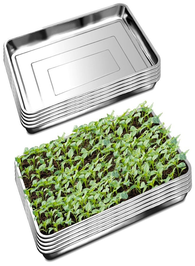 RooTrimmer 10 Pack Large Stainless Steel Seedling Trays, Heavy Duty Metal Water Catch Trays for Nursery Pots Transplant, Seed Germination & Propagation Flats (17.5 inch×13.56 inch, 1.18" Height) - Image 1