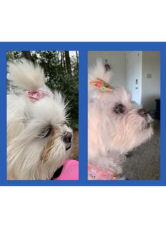 Squishface Squishface Tear Stain Paste - Cleans Dog Tear Stains - 2 Oz, Great for Long Hair Dogs Such as Poodles, Terriers and Maltese  - Image 4