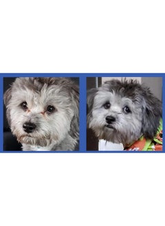Squishface Squishface Tear Stain Paste - Cleans Dog Tear Stains - 2 Oz, Great for Long Hair Dogs Such as Poodles, Terriers and Maltese  - Image 5
