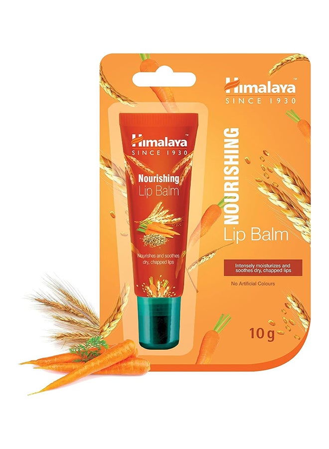 Himalaya بلسم شفاه مغذي يصلح الشفاه الجافة والمتشققة - Image 1