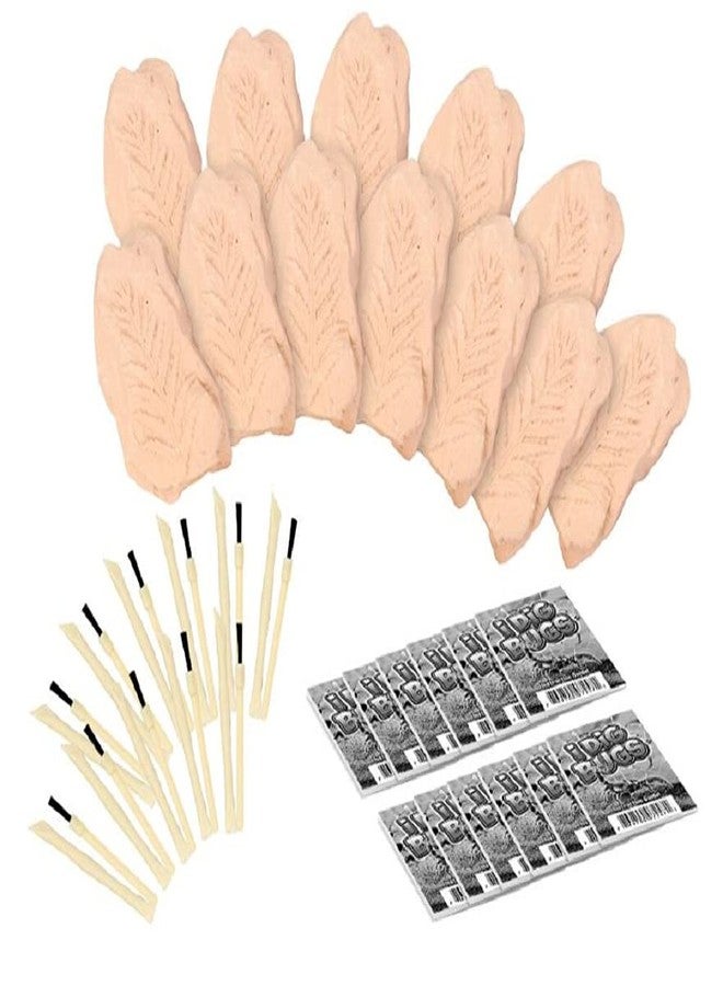 TRADE Big Bug Fossil Dig Kit - STEM Science & Educational Toys -Dig Up 12 Real Bugs Fly Ant Scorpion Lady Beetle Locust Cockroach Bumble Bee Cicada Dragonfly Cricket Praying Mantis Multicolored - Image 2