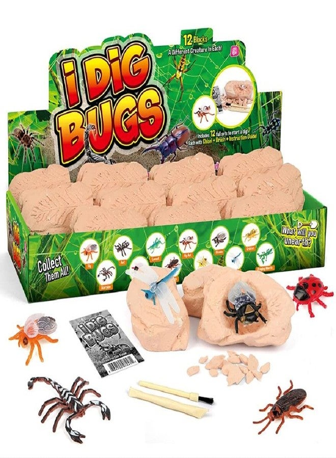 TRADE Big Bug Fossil Dig Kit - STEM Science & Educational Toys -Dig Up 12 Real Bugs Fly Ant Scorpion Lady Beetle Locust Cockroach Bumble Bee Cicada Dragonfly Cricket Praying Mantis Multicolored - Image 1