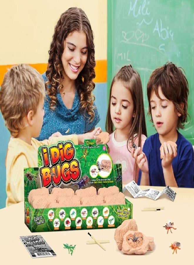 TRADE Big Bug Fossil Dig Kit - STEM Science & Educational Toys -Dig Up 12 Real Bugs Fly Ant Scorpion Lady Beetle Locust Cockroach Bumble Bee Cicada Dragonfly Cricket Praying Mantis Multicolored - Image 4
