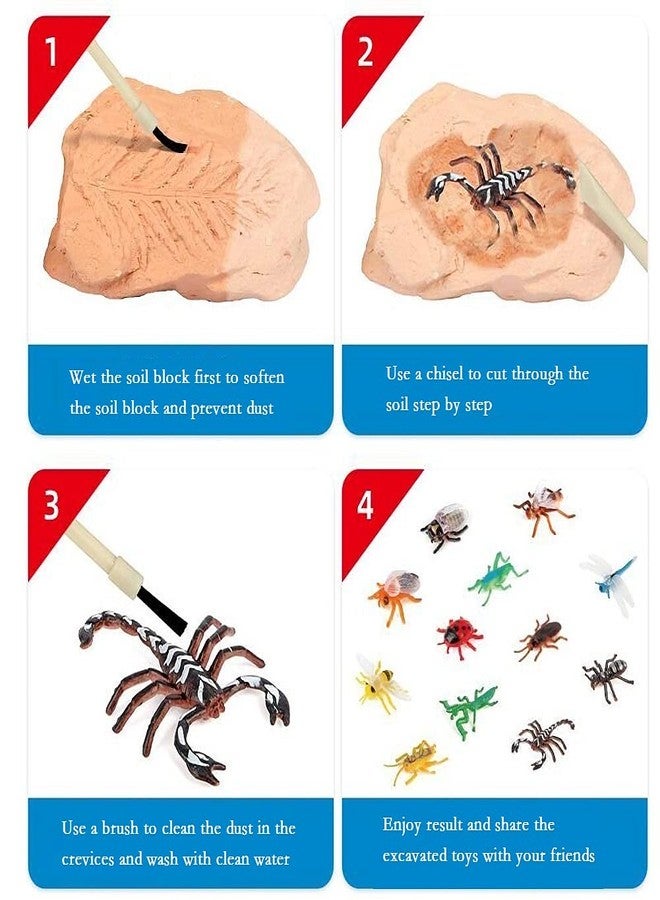 TRADE Big Bug Fossil Dig Kit - STEM Science & Educational Toys -Dig Up 12 Real Bugs Fly Ant Scorpion Lady Beetle Locust Cockroach Bumble Bee Cicada Dragonfly Cricket Praying Mantis Multicolored - Image 5