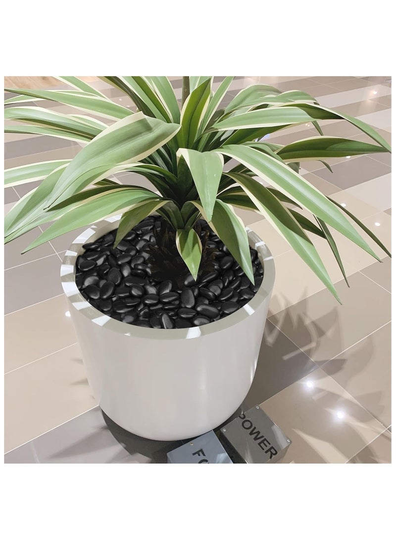 Home zone 15 lbs ( 6.8KG) Black Rocks for Planters 1"-2" Decorative River Rocks for Plants Flower Pots Vase Polished Garden Stones for Outdoor Landscaping Walkways Yard  - Image 4