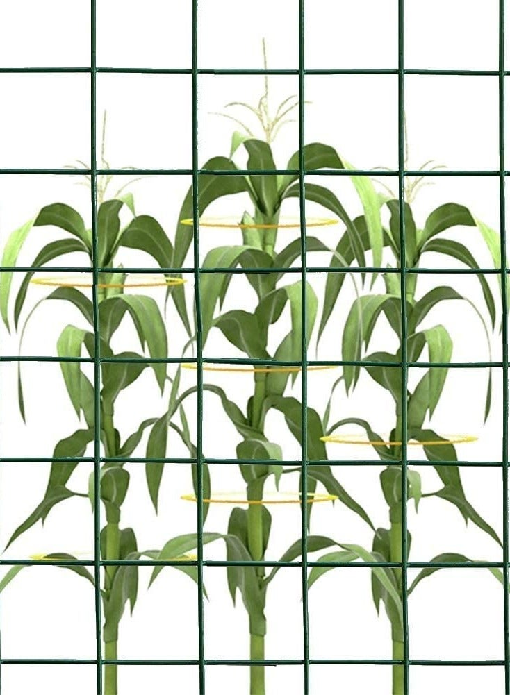 ROBUSTLINE Robustline Wire Mesh Fencing, Galvanized Pvc Coated Garden Fencing, Green Steel Nets For Farming Fence, Plant Chicken Wire Fence And Animals Aviaries Hen-Houses Small (3/4" X 4Ft X 12Ft X 19Mm) - Image 2