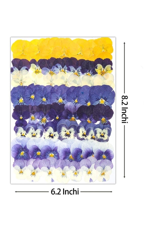 OSHIMA 54PCS Dried Flowers, Dried Pressed Flowers for Resin, Dried Pressed Pansies Flowers, Natural Dry Floral Epoxy, for DIY Art, Jewelry, Candle & Soap Making - Image 2
