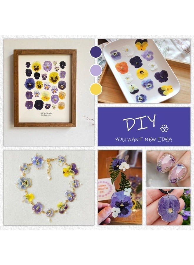OSHIMA 54PCS Dried Flowers, Dried Pressed Flowers for Resin, Dried Pressed Pansies Flowers, Natural Dry Floral Epoxy, for DIY Art, Jewelry, Candle & Soap Making - Image 4