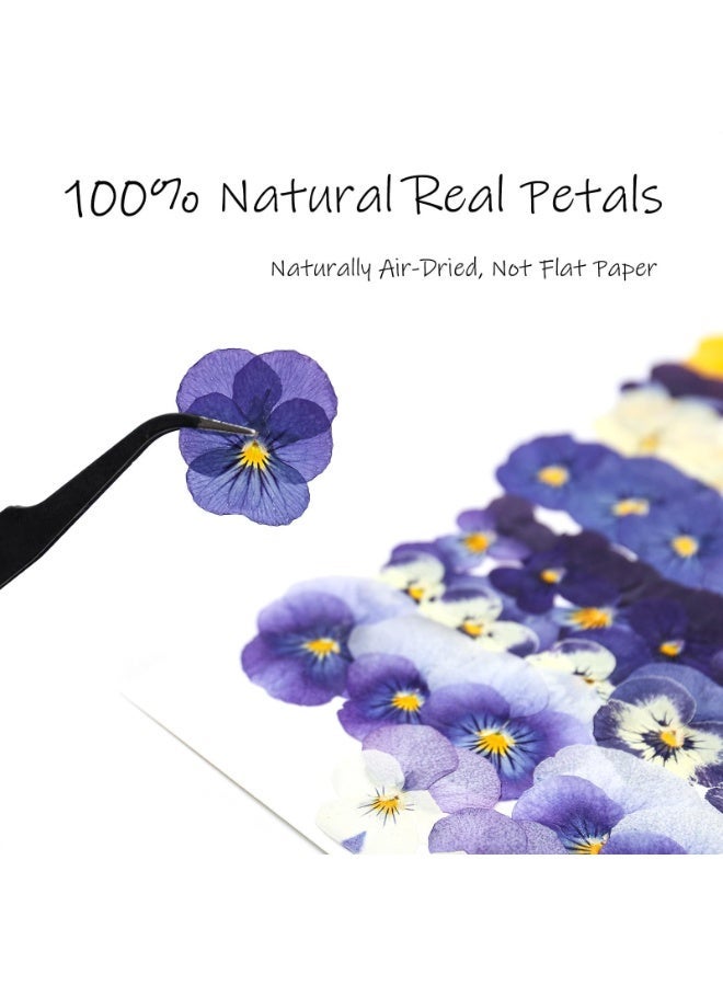OSHIMA 54PCS Dried Flowers, Dried Pressed Flowers for Resin, Dried Pressed Pansies Flowers, Natural Dry Floral Epoxy, for DIY Art, Jewelry, Candle & Soap Making - Image 5