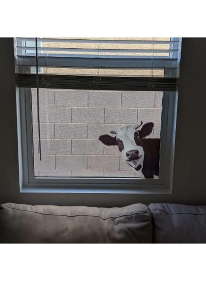 iinuu Cute Cow Window Decals, Farmhouse Animal Themed Stickers, Cow Lover Window Cling for Farmhouse Classroom Office Kids' Room, Perfect for Home Decor, Birthday Gift Idea - Image 4