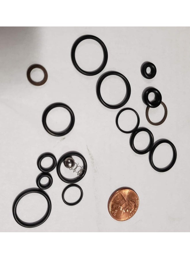 AR ANNOVI REVERBERI AR North America AR2190 Replace Pressure Washer O-Rings, Black  - Image 1