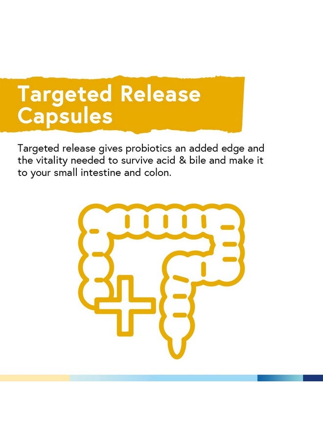 Terranics Probiotics 60 Billion Cfu 20 Strains 60 Veg Capsules Prebiotics & Probiotics Shelf Stable Probiotic Supplement For Men & Women Digestive & Immune Health Nongmo No Soy Dairy & Gluten - Image 4