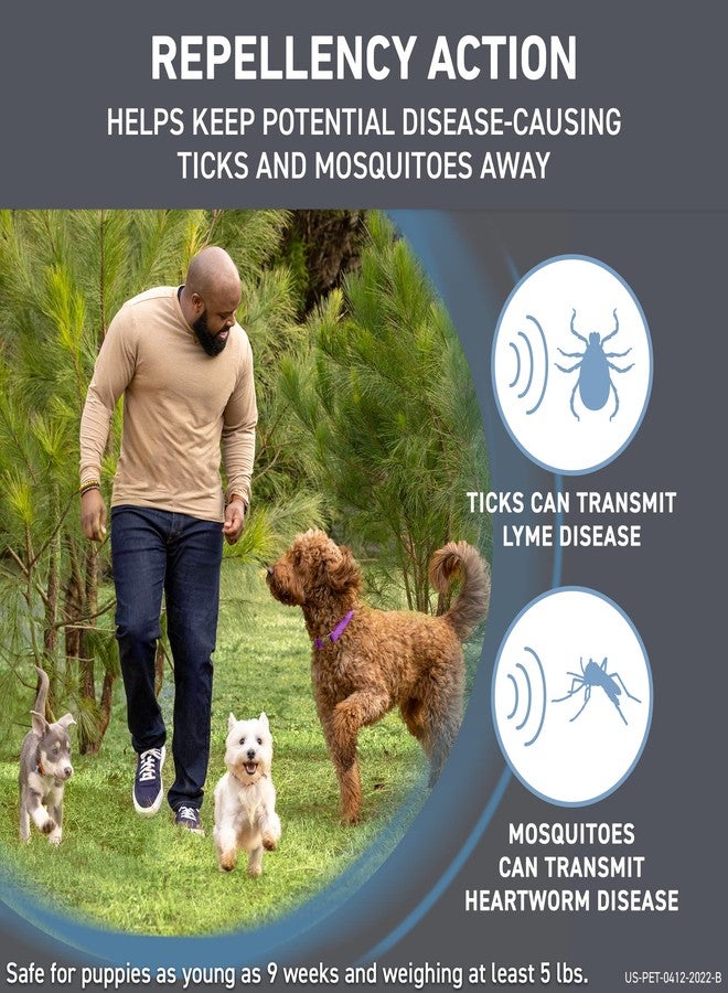 FRONTLINE Shield Flea & Tick Treatment for Large Dogs 41-80 lbs. Count of 6 - Image 3