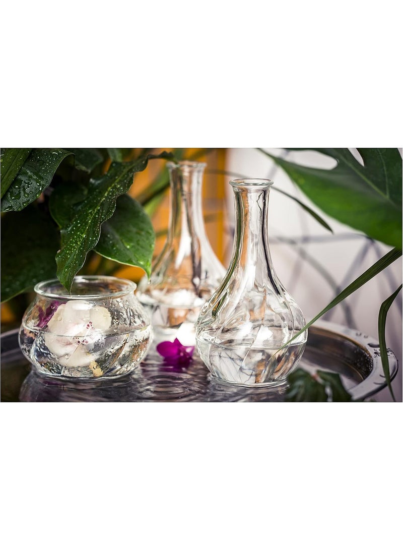 Clear Glass Vase 17 cm, Decorative Flower Vase for Single Stems, Small Bouquets and Twigs, Unique Modern Glass Vase for Table, Shelf and Home Decor, Minimalist Floral Centerpiece - Image 3