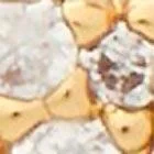 كيت سبيد Pve Studs