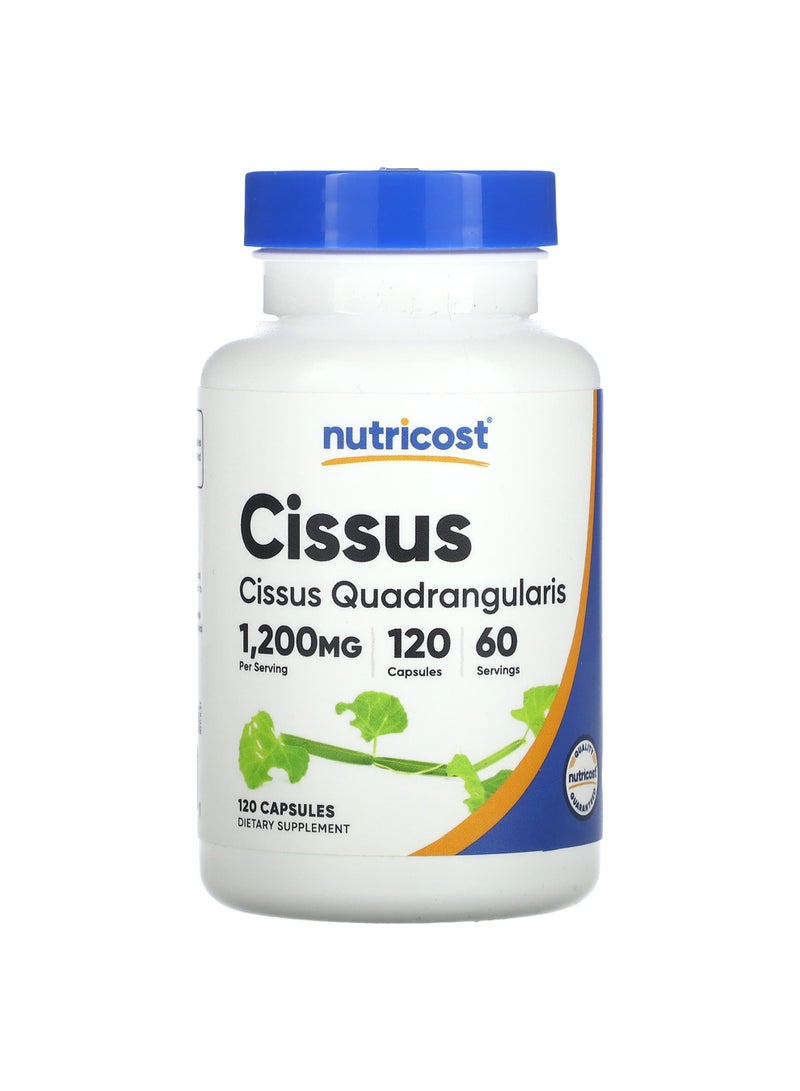 Cissus, 120 Capsules (600 mg per Capsule)