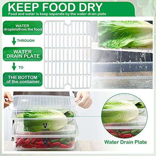 Vasukie Fridge Storage Boxes with Removable Drain Plate, Egg Tray & Lid, Stackable Fridge Organizer, Fridge Containers To Keep Fruits, Vegetables, Meat, Fish, Egg Fresh and Dry (Pack Of 2) - Image 3