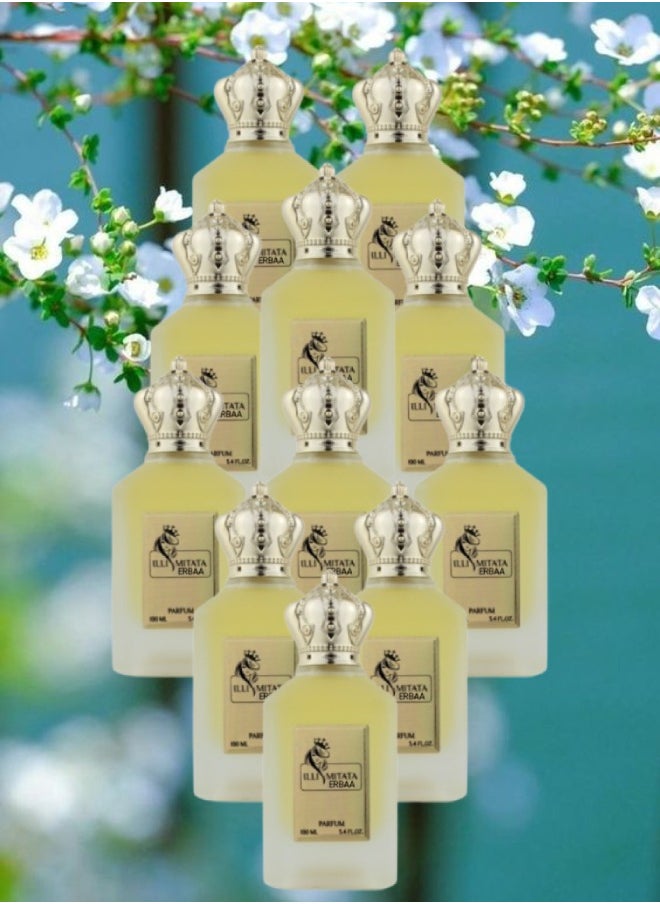 11 Pieces Illimitata Erbaa Perfume 100ML - pzsku/Z9830CDC736014C23FE83Z/45/_/1714650837/87fa7b21-4404-46e8-b518-0896c2c23264