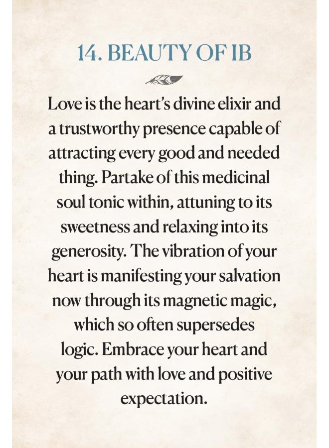 Medicine Heart Oracle - Pocket Panda Edition: Nourishing Transfusions of Medicinal Grace