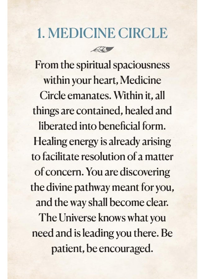 Medicine Heart Oracle - Pocket Panda Edition: Nourishing Transfusions of Medicinal Grace