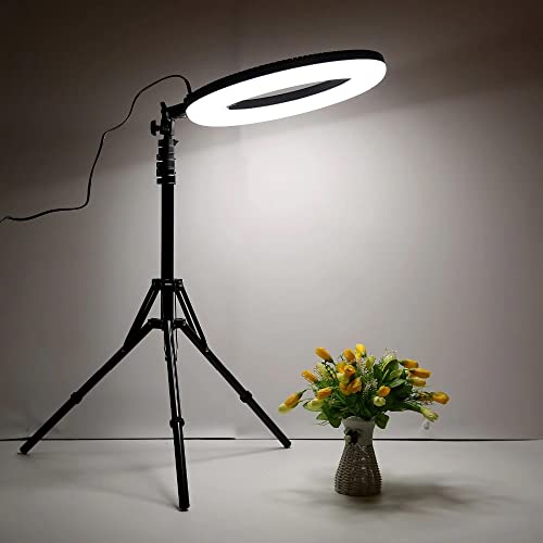 ADZOY Professional BD-460 with 600 LED Power 18 Inch Ring Light and 7 Feet Metal Tripod (Supports Up to 2500 g) - Image 3