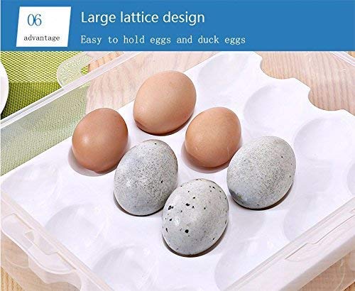 AMULAKH Double Layer 32 Grid Egg Storage Box for Egg Storage Container Holder with Lid and Tray Plastic Carrier Cases Refrigerator Fridge Kitchen Food Storage Box Outdoor - Image 2