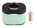 HIFROM HIFROM 695666 Fuel Filter Air Filter Cleaner Pre Filter for Briggs & Stratton 792105 276890 407777 40G777 5405H 5405K  - Image 2