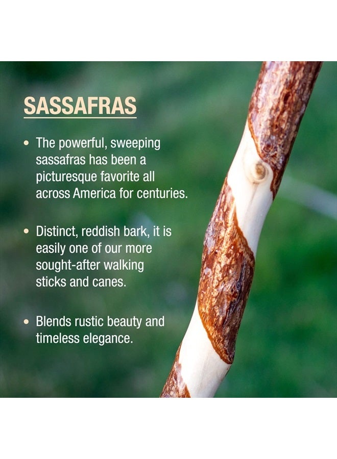 Brazos Hiking Walking Trekking Stick - Handcrafted Wooden Walking & Hiking Stick - Made in the USA by Brazos - Twisted Sassafras - 58 inches - Image 3