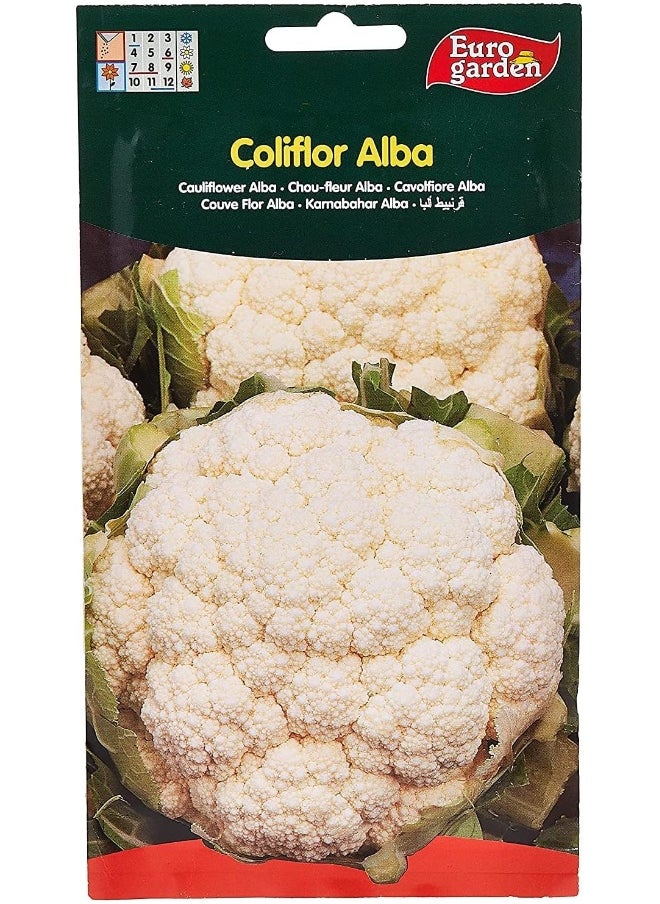 Euro Garden Euro Garden Cauliflower Seeds 3 G  - Image 1