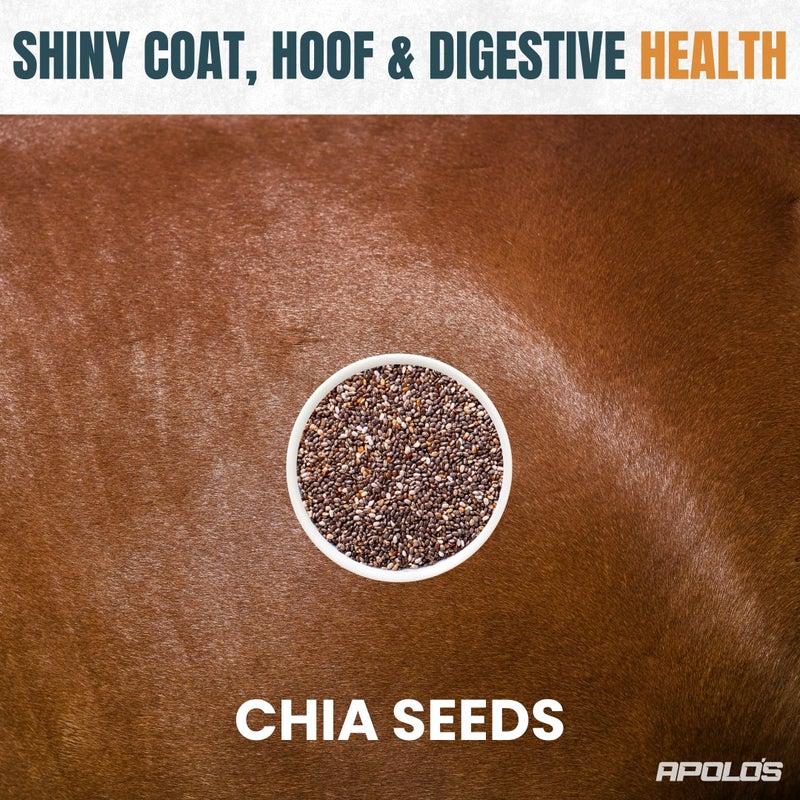 Greenfit APOLO'S 100% Natural Horse Supplement for Daily Feeding - Joint Support, Coat Shine & Strength | Flaxseed, Quinoa, Chia | 10 LB Bag - Image 4