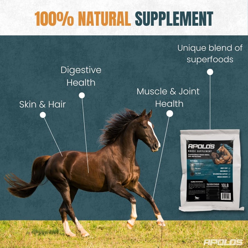 Greenfit APOLO'S 100% Natural Horse Supplement for Daily Feeding - Joint Support, Coat Shine & Strength | Flaxseed, Quinoa, Chia | 10 LB Bag - Image 2