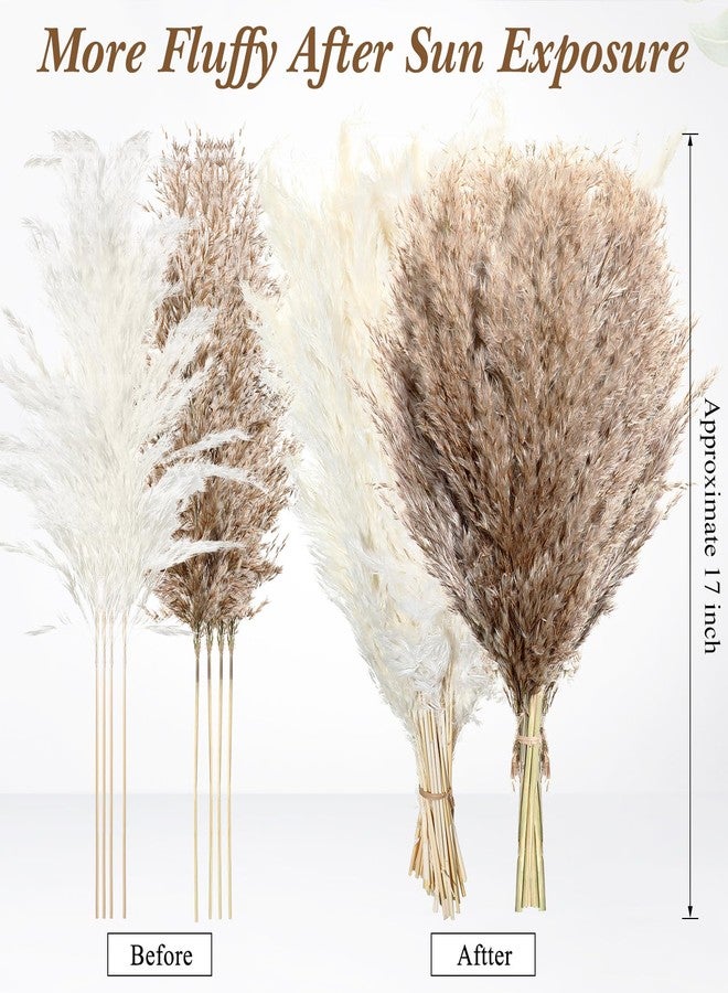 جانينكا 100 قطعة من عشب البامباس المجفف لتزيين المنزل، 17 بوصة، طبيعي، صغير، بري، رقيق، زهور بوهو لتزيين حفلات الزفاف، ديكور المنزل الريفي، الحمام، المكتب، المطبخ (أبيض، بني) - Image 2