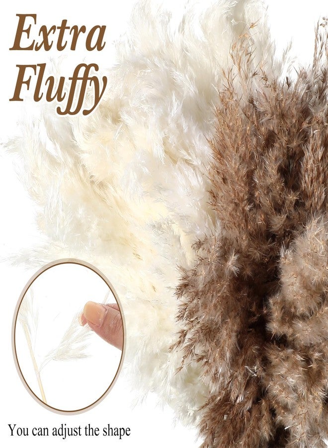 جانينكا 100 قطعة من عشب البامباس المجفف لتزيين المنزل، 17 بوصة، طبيعي، صغير، بري، رقيق، زهور بوهو لتزيين حفلات الزفاف، ديكور المنزل الريفي، الحمام، المكتب، المطبخ (أبيض، بني) - Image 3