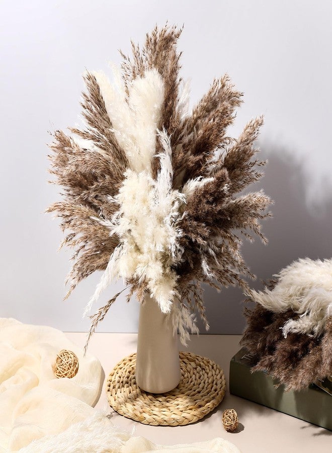 جانينكا 100 قطعة من عشب البامباس المجفف لتزيين المنزل، 17 بوصة، طبيعي، صغير، بري، رقيق، زهور بوهو لتزيين حفلات الزفاف، ديكور المنزل الريفي، الحمام، المكتب، المطبخ (أبيض، بني) - Image 5