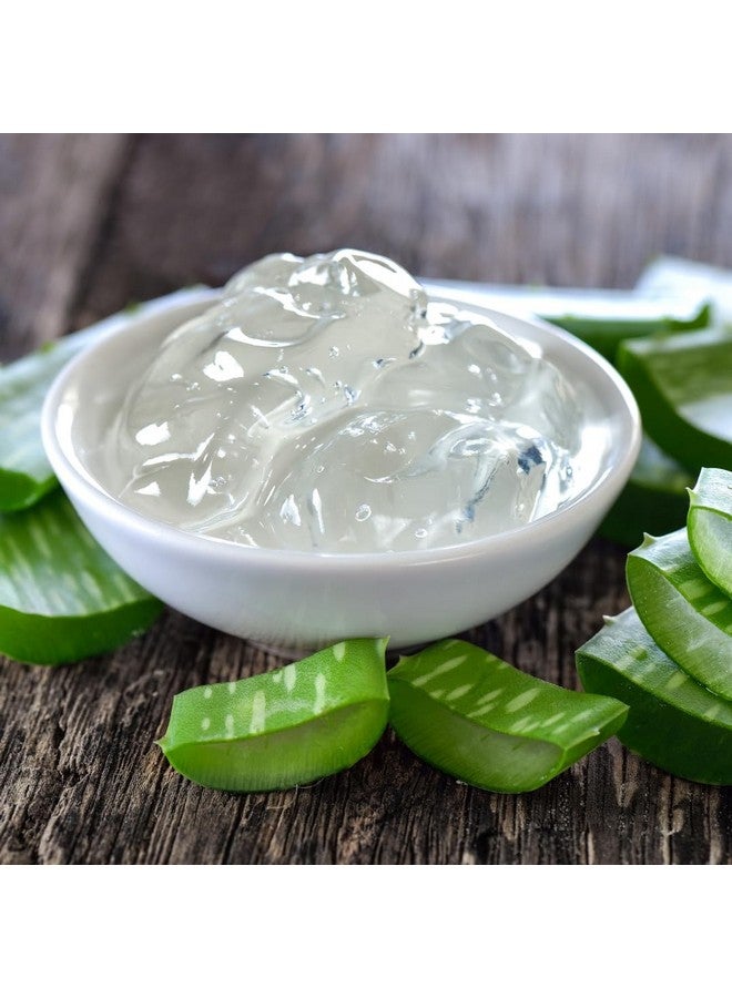 بليس إنترناشونال جل الصبار العضوي من بليس إنترناشونال، 96% نقي، طازج، يُصنع خلال 12 ساعة من الحصاد. مثالي لترطيب الوجه والجسم وفروة الرأس والشعر، مرطب مهدئ لحروق الشمس والعناية بعد التعرض لأشعة الشمس، 8 أونصات - Image 2