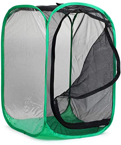 RESTCLOUD 36 Large Monarch Butterfly Habitat Giant Collapsible Insect Mesh Cage Terrarium Popup 24 x 24 x 36 Inches - Image 5