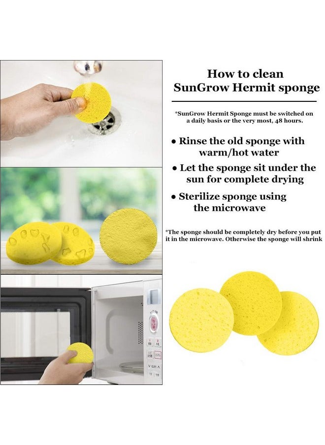 Hermit Crab Sponges for Water, 3 Pack Unbleached Hermit Crab Accessories & Supplies, Pet Crab Sponges Provide Nutrients and Maintain Tank Humidity, Water Dish Yellow Real Sea Sponges, 2" x 1" - pzsku/Z983C816414AA3FDC0BCEZ/45/_/1737031335/1222cb14-7c7f-438a-936f-f70719841ad1