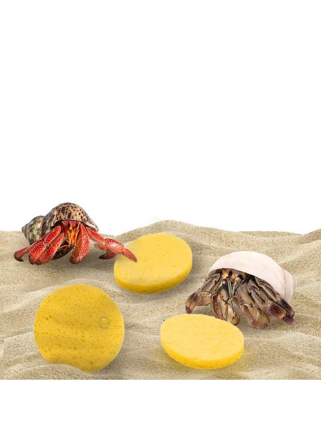 Hermit Crab Sponges for Water, 3 Pack Unbleached Hermit Crab Accessories & Supplies, Pet Crab Sponges Provide Nutrients and Maintain Tank Humidity, Water Dish Yellow Real Sea Sponges, 2" x 1" - pzsku/Z983C816414AA3FDC0BCEZ/45/_/1737031347/cfd2718d-ecec-43c7-97a1-e4abeb25c0a9