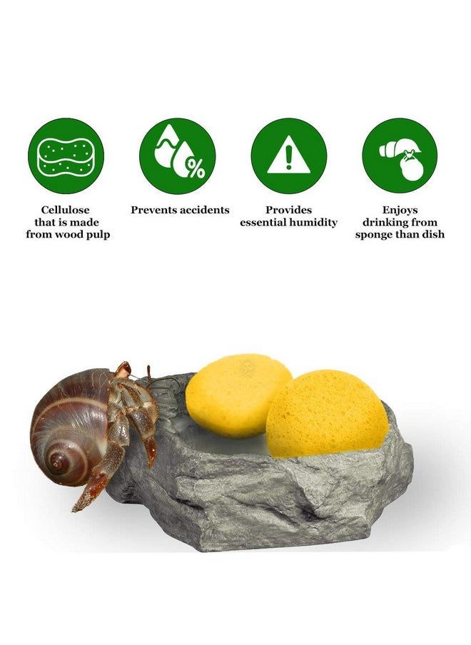 Hermit Crab Sponges for Water, 3 Pack Unbleached Hermit Crab Accessories & Supplies, Pet Crab Sponges Provide Nutrients and Maintain Tank Humidity, Water Dish Yellow Real Sea Sponges, 2" x 1" - pzsku/Z983C816414AA3FDC0BCEZ/45/_/1737031358/e74f277e-66b4-4a4f-b080-df47cf4b9f0a