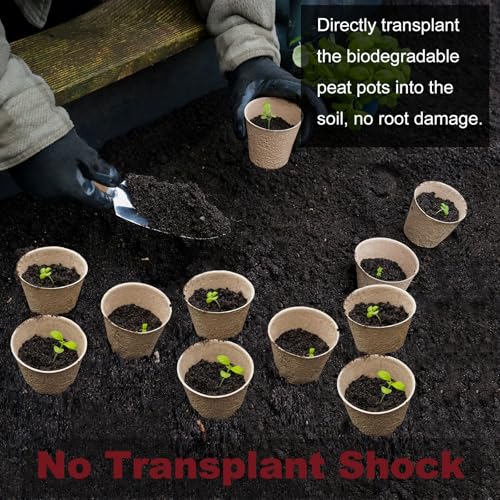 Napia Peat Pots Seed Starter - 45 Pack 3.15 inch Biodegradable Seed Starter Pots Peat Pots for Seedlings with 30pcs Plant Labels, Seedling Pots Starter Pots for Planting Seeds with Drainage Holes - Image 4