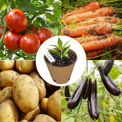 Napia Peat Pots Seed Starter - 45 Pack 3.15 inch Biodegradable Seed Starter Pots Peat Pots for Seedlings with 30pcs Plant Labels, Seedling Pots Starter Pots for Planting Seeds with Drainage Holes - Image 5