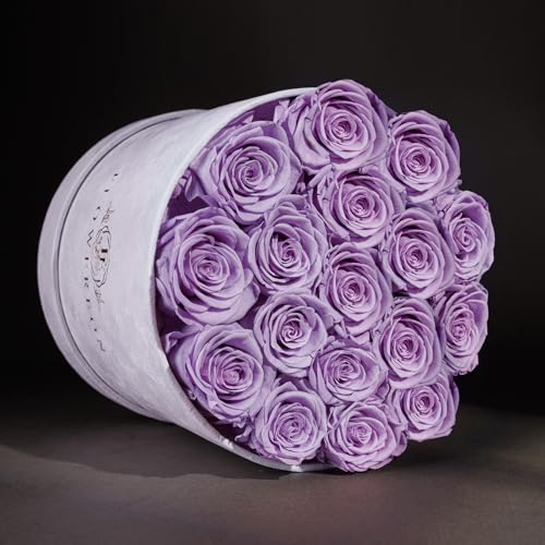 Prifroti بريفروني 17 زهرة في صندوق سويد فاخر، هدايا عيد ميلاد للنساء، زهور محفوظة، هدية عيد الأم للأم، لافندر - Image 2