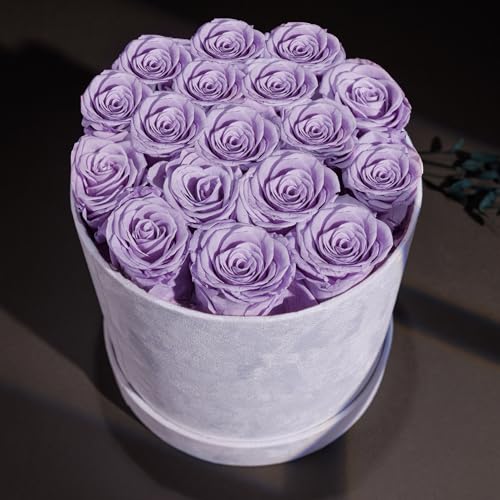 Prifroti بريفروني 17 زهرة في صندوق سويد فاخر، هدايا عيد ميلاد للنساء، زهور محفوظة، هدية عيد الأم للأم، لافندر - Image 4