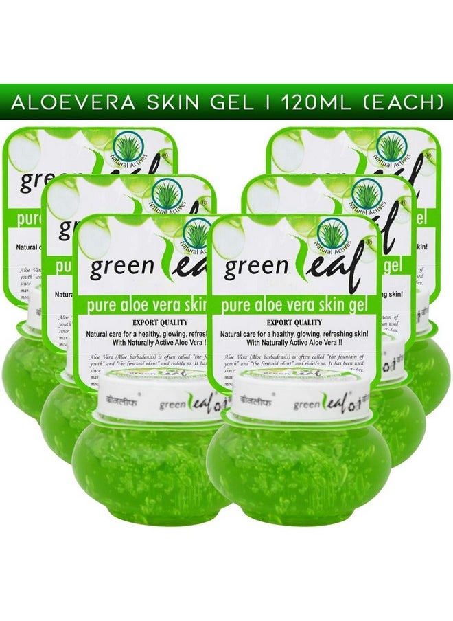 Green Leaf - Pure Aloe Vera Skin Gel 120Gm Pack Of 6 - Image 1