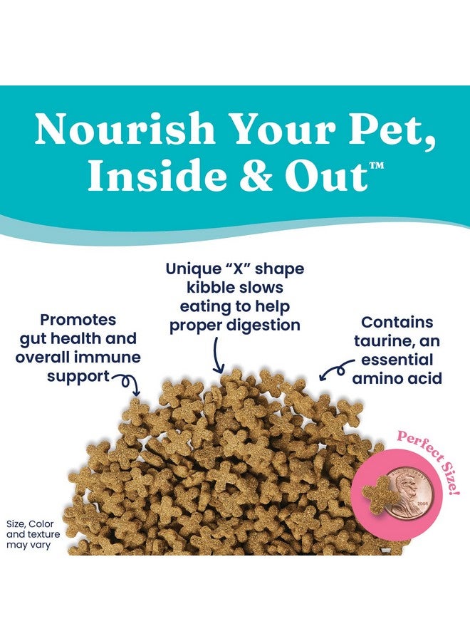 Solid Gold Dry Cat Food for Indoor Cats of All Ages - W/Lamb, Brown Rice, Barley, Probiotics & Fiber for Gut Health- Holistic & Healthy Cat Kibble for Kittens & Adults - Dry Kibble for Cats - 4 LB - Image 2