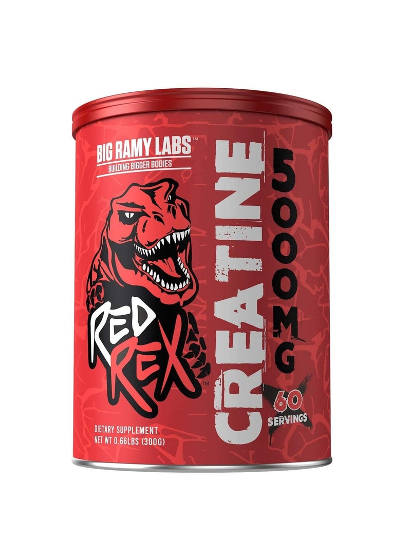 ريد ريكس Creatine Monohydrate 5000 mg - 60 serving - 300 gm - UnflavoredBundle - Image 2