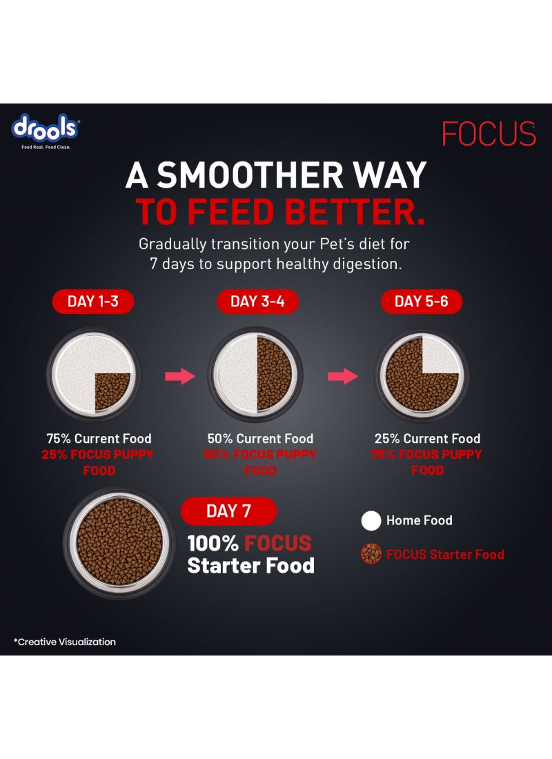 Drools Focus Premiun Starter Dry Dog Food  Chicken - Image 3