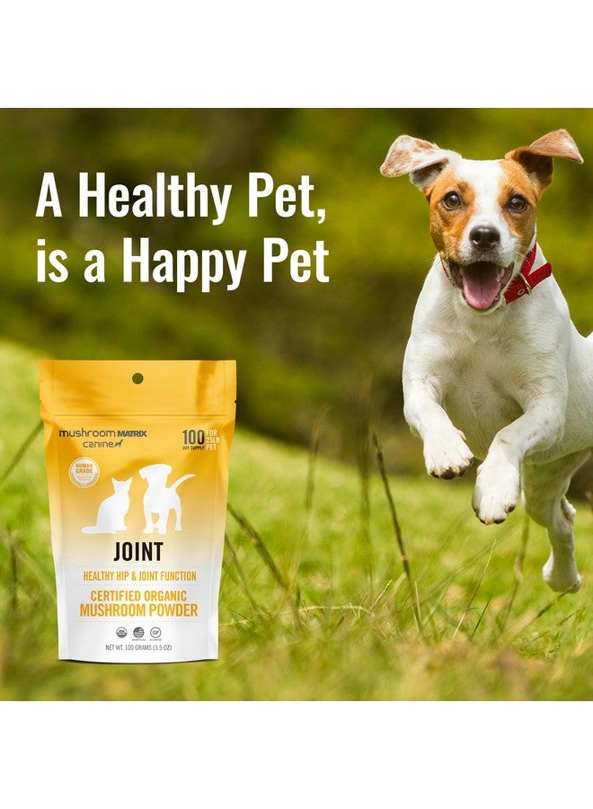 mushroom Matrix Om Mushroom Matrix Pet - Canine | Joint & Hip Function | USA Grown Human-Grade Organic Mushroom Powder Pet Supplement | Promotes Resilient Bones & Joints for Dogs & Cats | 100 Grams, 3.5 oz - Image 2