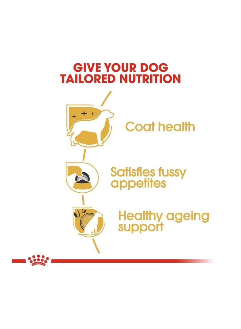 ROYAL CANIN Royal Canin - Yorkshire Terrier Adult Dog Dry Food 2kg & Wet Dog Food Pouch Box of 12x85g Bundle Pack - Image 5